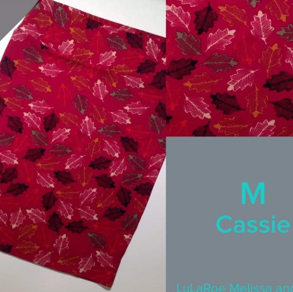 Lularoe Cassie - pencil skirt size medium